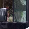 rvlife_64af13d697f67 User Image